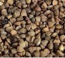 Trigo Mourisco